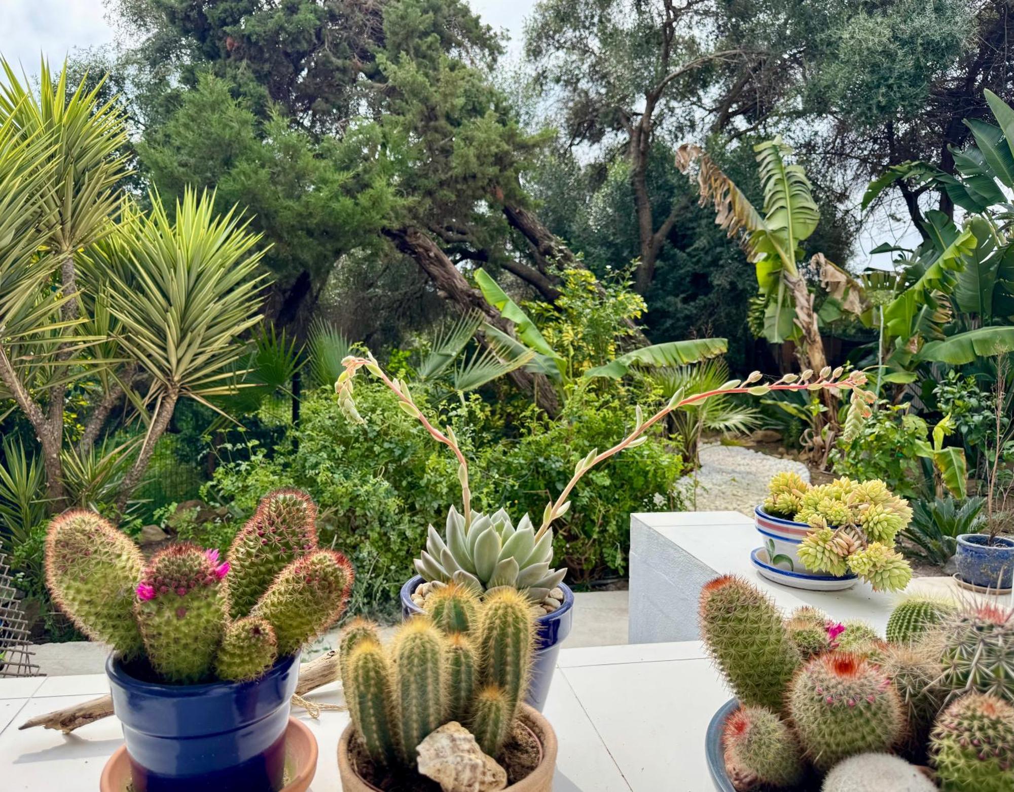 Willa Casa Blu Marbella Zewnętrze zdjęcie