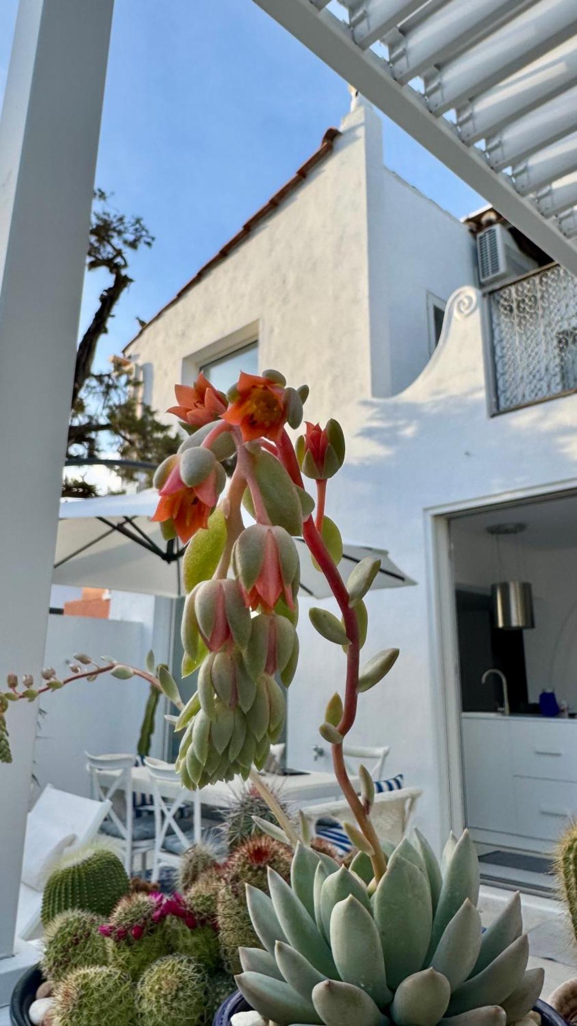 Willa Casa Blu Marbella Zewnętrze zdjęcie