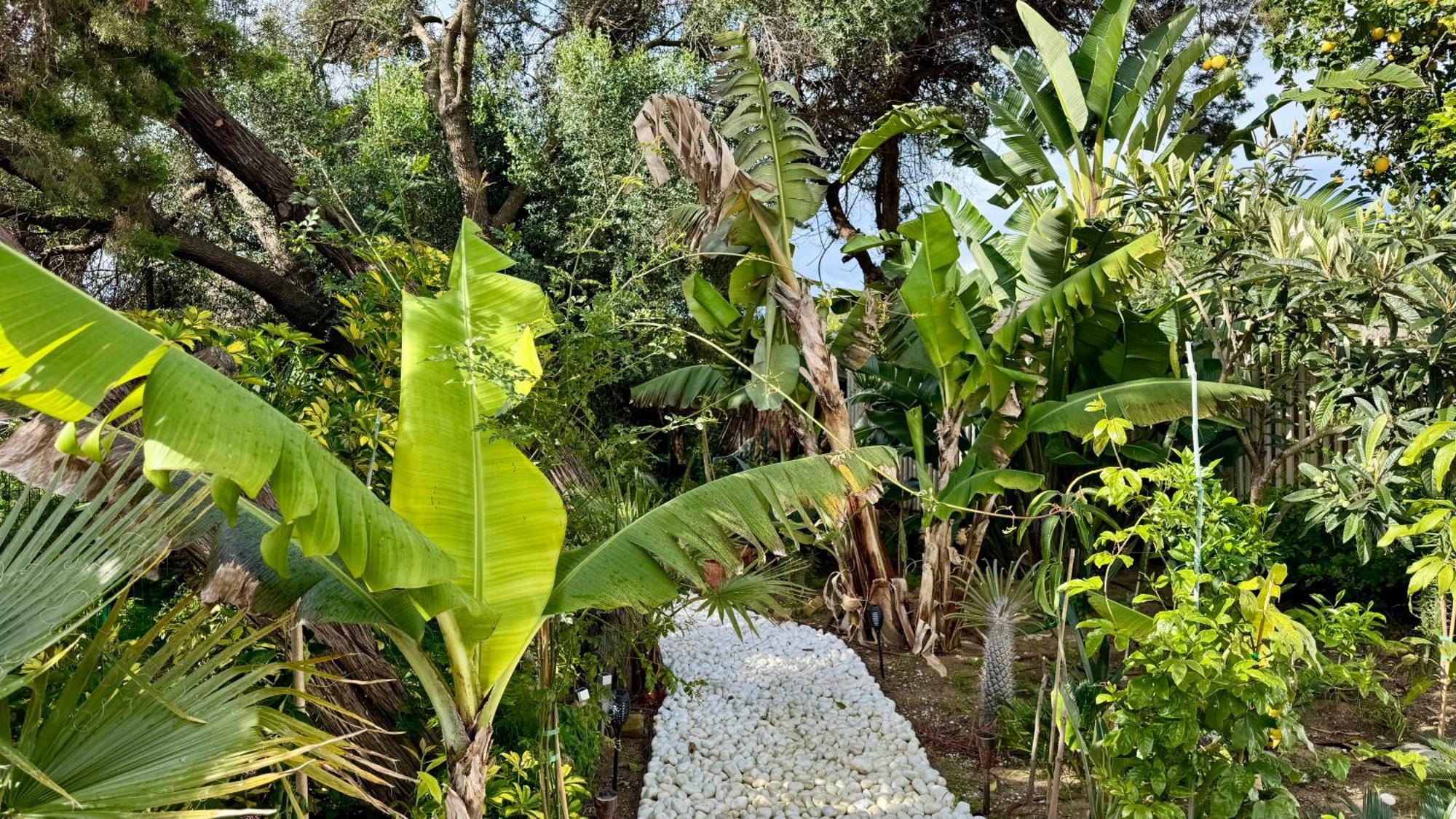 Willa Casa Blu Marbella Zewnętrze zdjęcie
